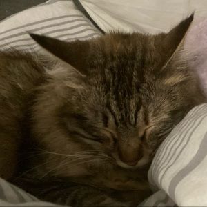 Meet your Posher, Caroline